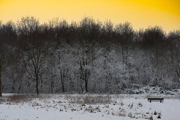 Le banc sur Truckpowerr