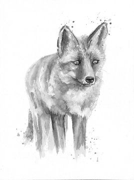 Fox in black and white by Atelier DT