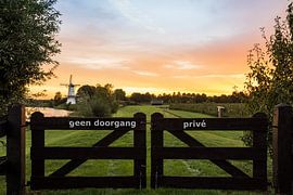 Windmolen in Deil Nederland by Marcel Derweduwen