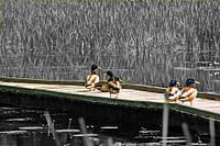 Domein Kelchterhoef 2