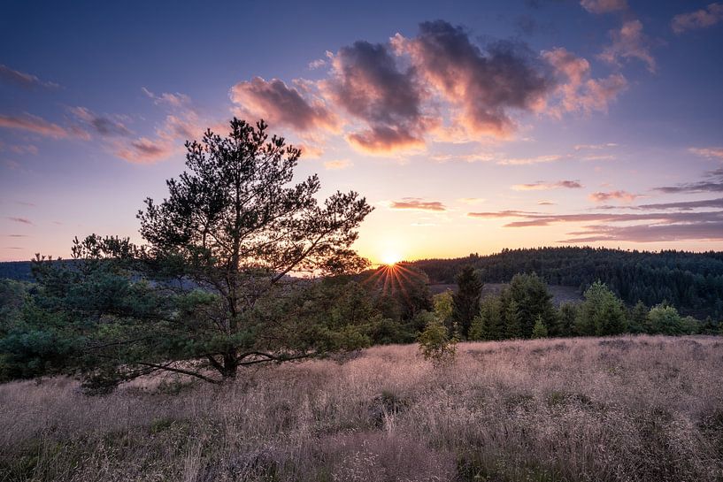 Zomer in de Harz van Steffen Henze