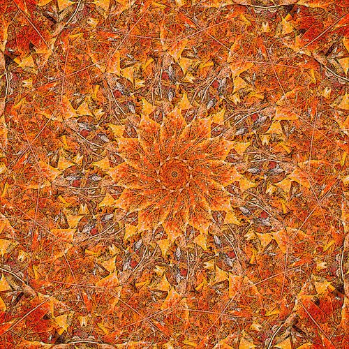 Magnetic North by Frans Blok - photos, art and other wall decoration