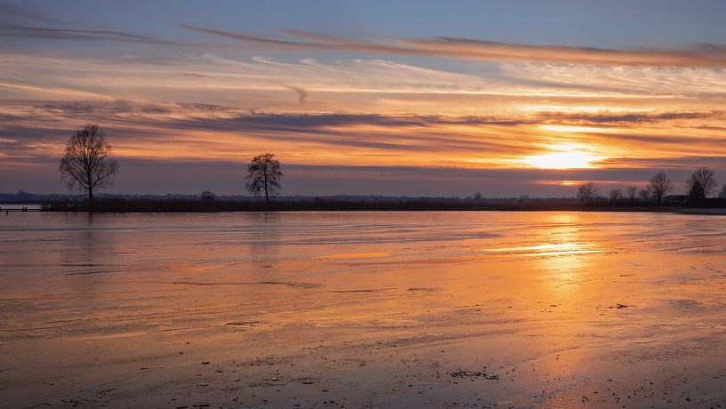 Winter aan het Zuidlaardermeer van Marga Vroom