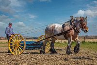 Fermier avec un cheval de trait