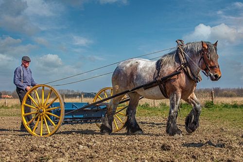 Fermier avec un cheval de trait sur Lisette van Peenen