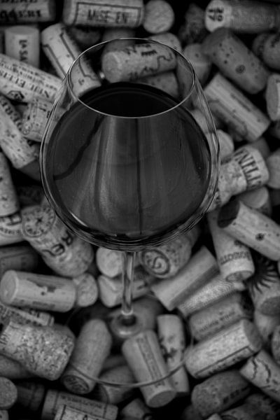 wine photography by Claudia Bouman