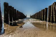 Zoutelande by Henk Hartzheim thumbnail