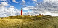 Panorama Vuurtoren van Texel / Panoramic Texel Lighthouse van Justin Sinner Pictures ( Fotograaf op Texel) thumbnail