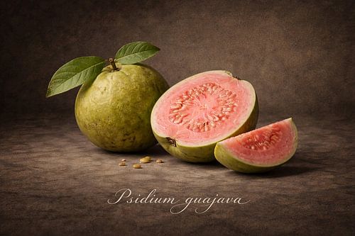 Guave .Psidium guajava