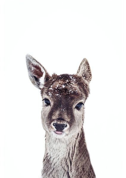 Little Fawn Fiona by Monika Strigel