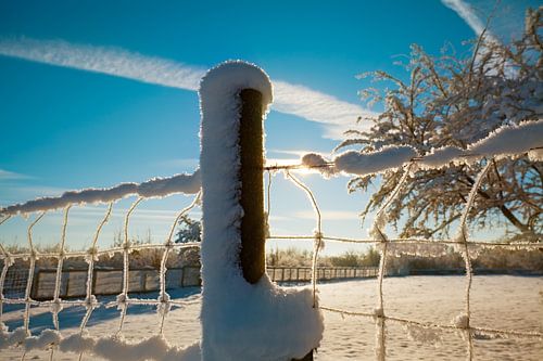 Winter landscape