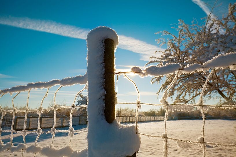 Winterlandschap van Bo Valentino