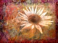 romantischer Sonnenhut - romantische zonnehoed