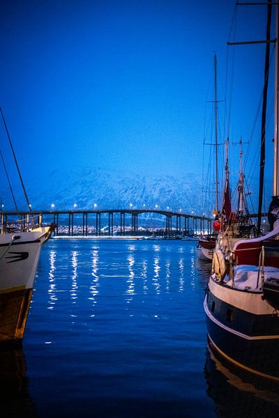 Tromsø Bridge (Tromsøbrua) by Barbara Koppe