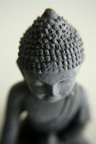 Buddha by Pamela Fritschij