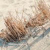 A day on the beach van Gonnie van Roij