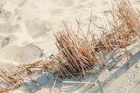 A day on the beach