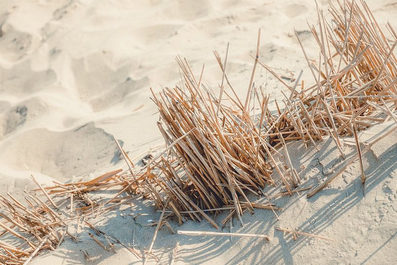 A day on the beach van Gonnie van Roij