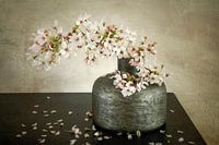 Still life. Flowers. Blossom. New Rural