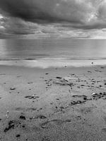 Drie Lagen Kust