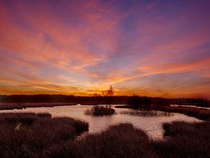 kleurrijke ochtend van snippephotography