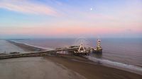 Strand van Scheveningen