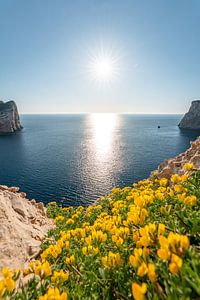 Sonnenstrahlen an den Klippen Sardiniens am Parco Naturale Di Porto Conte