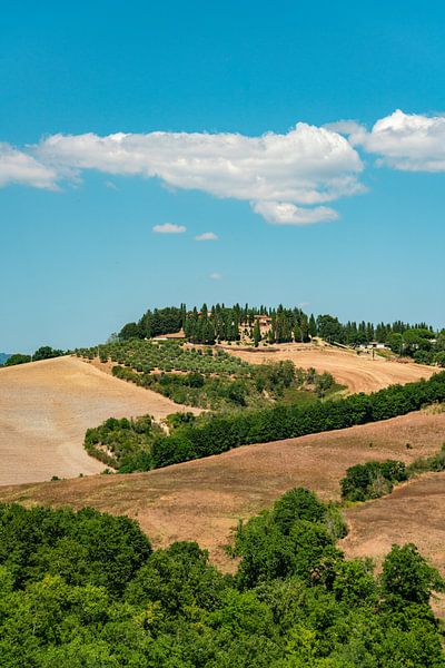 Villa in der Toskanischen Landschaft von Leo Schindzielorz