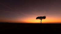 Sunrise in Africa. by Gunter Nuyts thumbnail