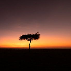 Sonnenaufgang in Afrika. von Gunter Nuyts