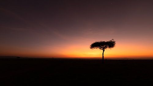 Zonsopkomst in Afrika.