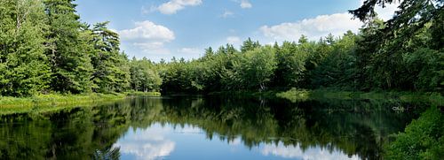 Panorama von Seelandschaft in Nova Scotia/Kanada