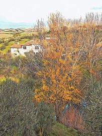 December Dwelling Umbria by Dorothy Berry-Lound