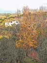 December Dwelling Umbria by Dorothy Berry-Lound thumbnail