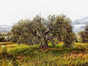 De kat en de olijfboom van Dorothy Berry-Lound