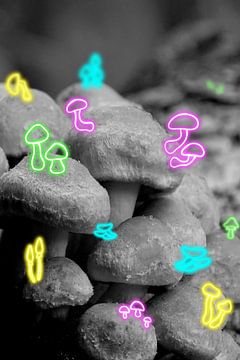 Neon paddenstoelen