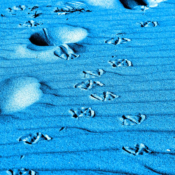 Turquoise blue tracks on the dune on the Baltic Sea beach by Silva Wischeropp