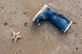 Laars en zeester by Dirk van Egmond