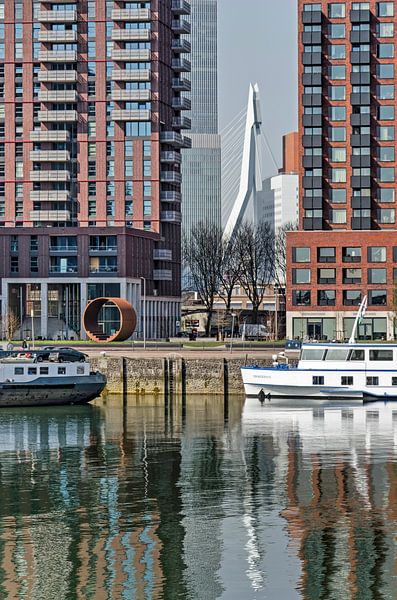 Doorkijkje Erasmusbrug van Frans Blok