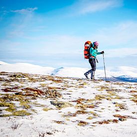 Winter hike in Noorwegen, Dovrefjell