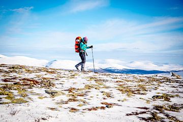 Woman touring in winter at dovrefjell, Norway. by Ruben Dario