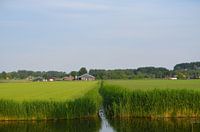 Natuur nederland