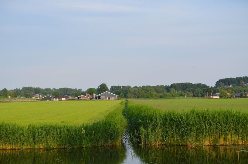 Nature netherlands by falko visser