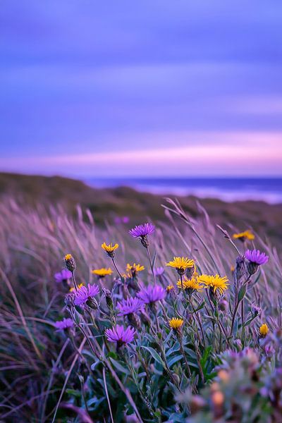 Flower meadow by the sea - Soft colours by Poster Art Shop