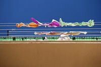 The Laundry Line