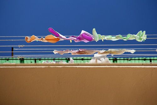 The Laundry Line