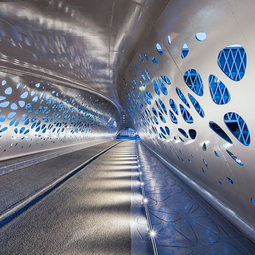 Illuminated Park Bridge at night, Antwerp 