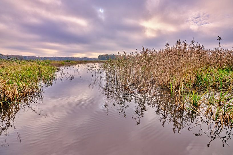 Nature reserve Halkenbroek in Drenthe by eric van der eijk