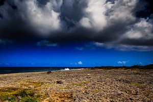 Wata Mula op Curacao