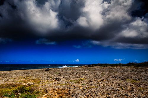 Wata Mula op Curacao